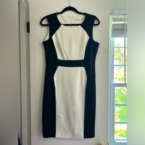 Calvin Klein Black and White Fitted Cocktail Dress